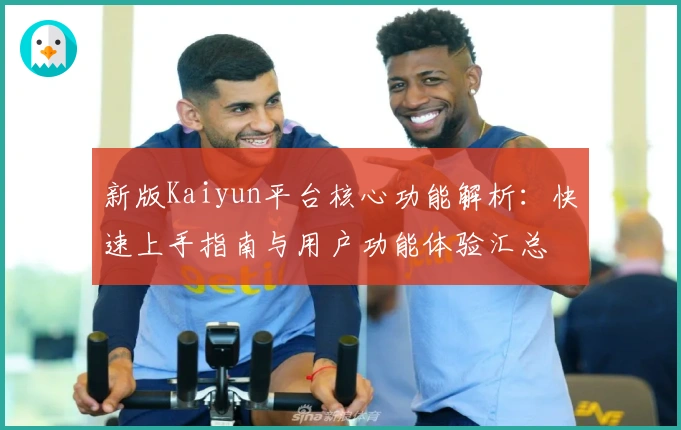 新版Kaiyun平台核心功能解析：快速上手指南与用户功能体验汇总