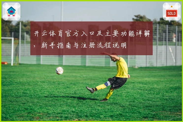 开云体育官方入口及主要功能详解，新手指南与注册流程说明